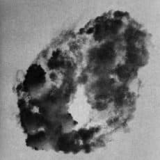 Sébastien Camboulive