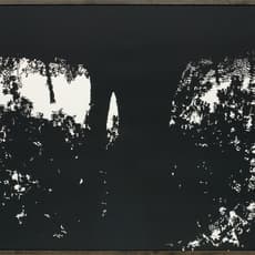 Stefan Thiel