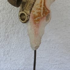 Gideon Gomo
