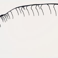 Anna Maria Maiolino, Codificações Matéricas (1994) by Anna Maria Maiolino