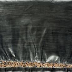 Shi Jin-Hua 石晉華