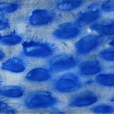 Julie Green (1961-2021)