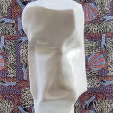 Daniel Silver
