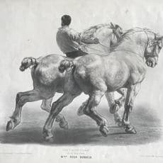 Achille-Louis-Joseph Sirouy after Rosa Bonheur (French, Bordeaux 1822–1899 Thomery)