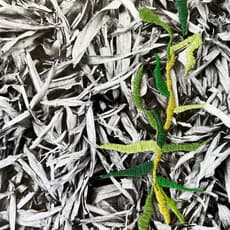 María Bayá, Re-nacer #1 (2023) by Baya