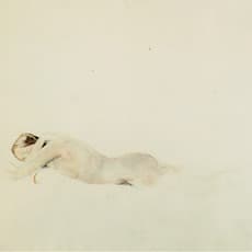 Andrew Wyeth