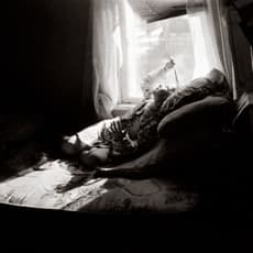 Andrea Modica