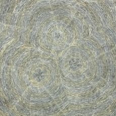 Puuni Brown Nungarrayi