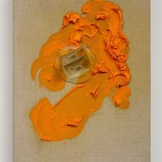 Judy Darragh