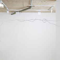 Sofía Salazar Rosales