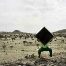 Dawit L. Petros