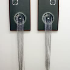 Sanell Aggenbach