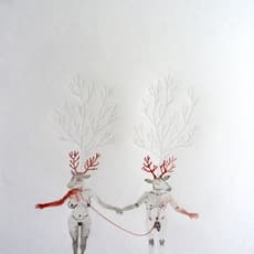 Odonchimeg Davaadorj