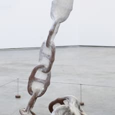 Liang Shaoji