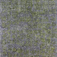 Zhu Xiao He