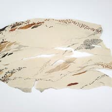 Aparajita Jain Mahajan