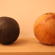 Claire de Santa Coloma