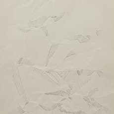 Jiro Takamatsu