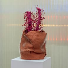 Temsüyanger Longkumer