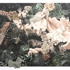 Aistė Ambrazevičiūtė