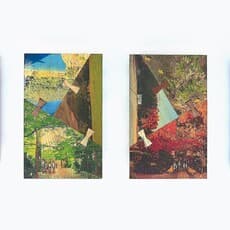 Mika Nakamura-Mather