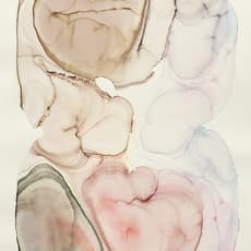 Barbara Nicholls