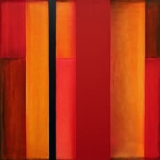 Ned Evans