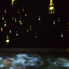 Cheuk Wing Nam 卓穎嵐