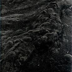 Balthasar Burkhard