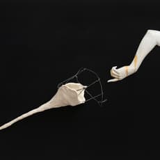 Song Jiayin 宋佳茵