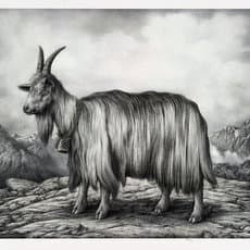 Sverre Wilhelm Malling