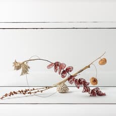 Elisabetta Di Maggio