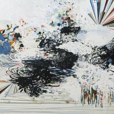 Reed Danziger