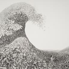 Laurie Lipton