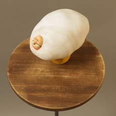 Kunihiko Nohara 野原邦彦