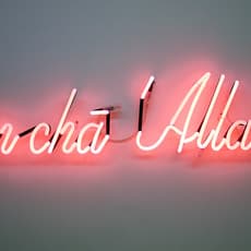 Mehdi-Georges Lahlou