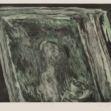 Gilberto Aceves Navarro