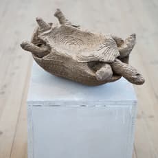 Martin Erik Andersen