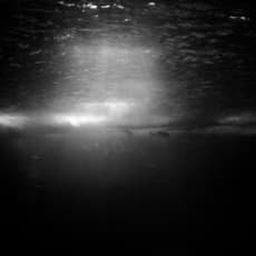 António Júlio Duarte