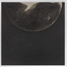 Lisa Diane Wedgeworth