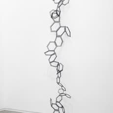 Ana Holck