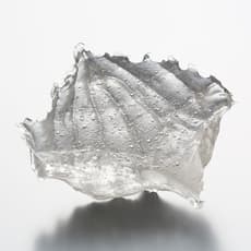 Jumpei Ueda 上田 順平