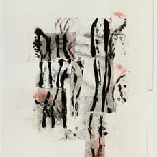 Laura Anderson Barbata