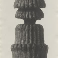 Karl Blossfeldt
