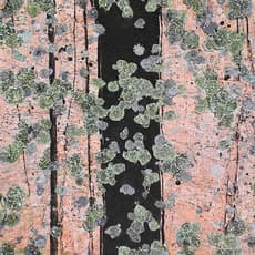 Ed Bartram