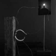 David Goldes