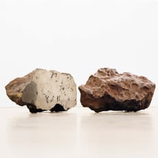 Faivovich & Goldberg