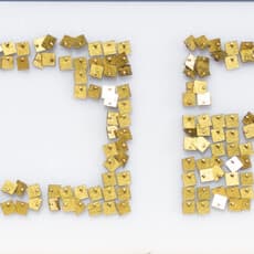 Miguel Angel Angel Rojas