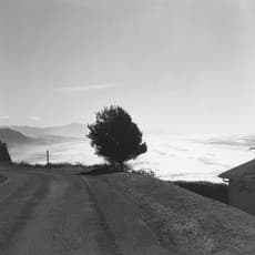 Robert Adams (b.1937)