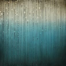 Timothy Schmitz